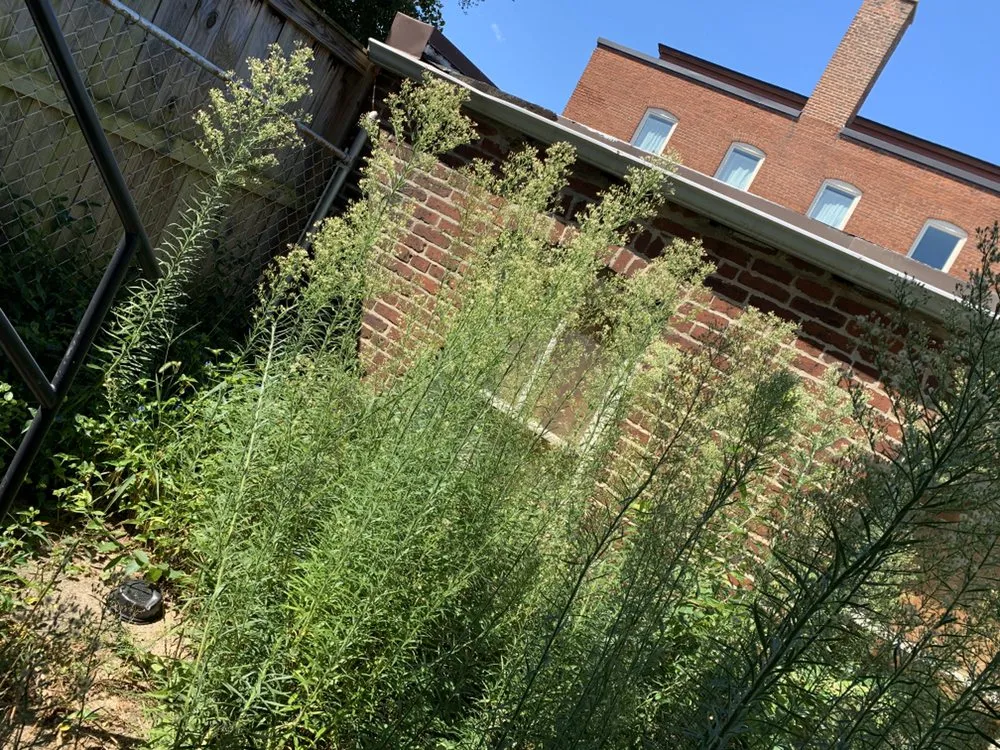 Custom outdoor landscaping experts serving Annapolis, MD - S&S Hauling and Landscaping