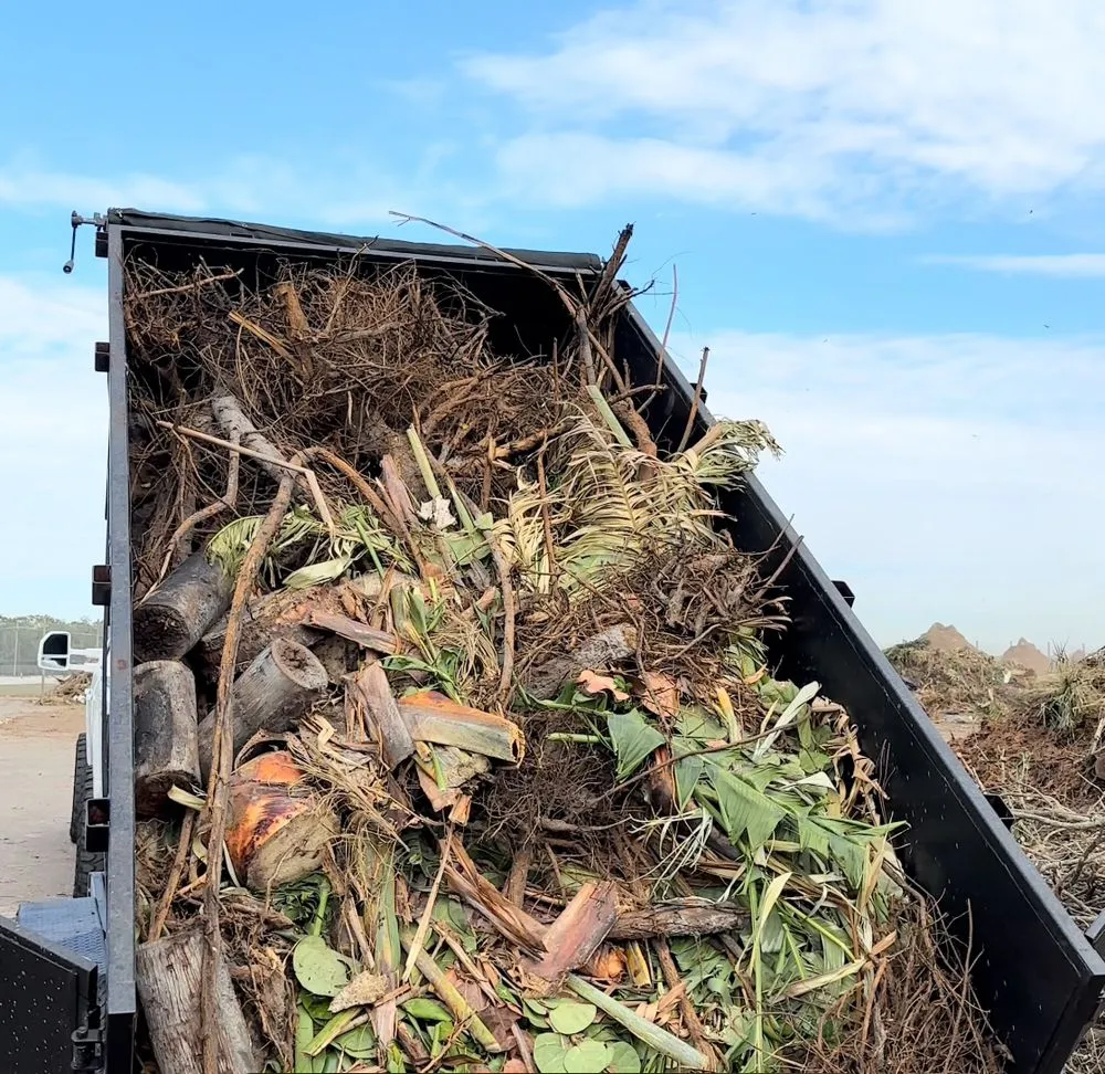 Reliable outdoor landscaping in Anna Maria, FL by S&S Hauling