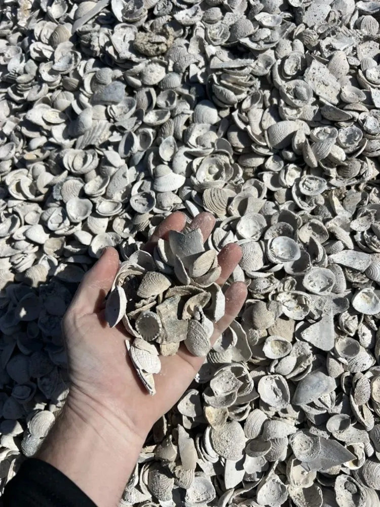 Reliable lawn mowing service for outdoor upgrades across Anna Maria, FL - S&S Hauling