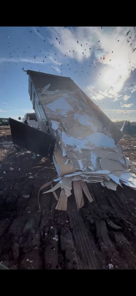 Trusted yard cleanup service in Anna Maria, FL by S&S Hauling