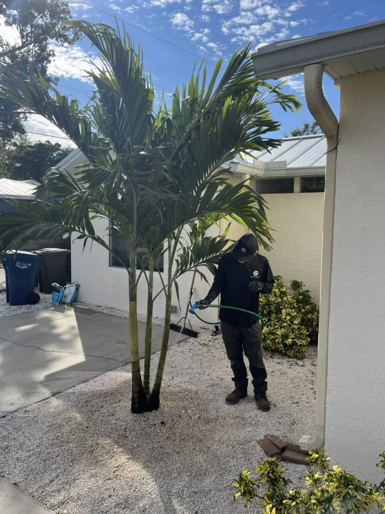 Affordable landscaping services in Anna Maria, FL by S&S Hauling