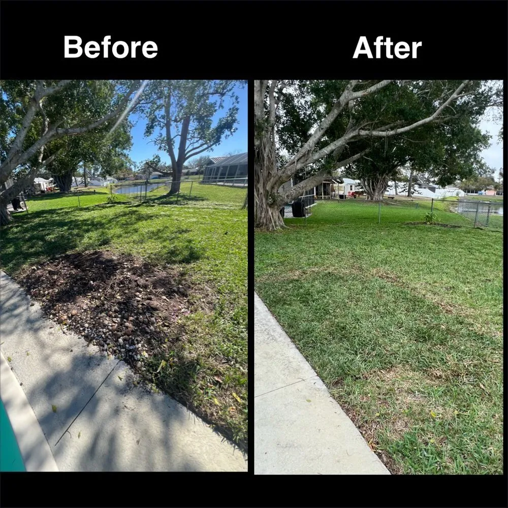 Custom residential landscaping experts serving Anna Maria, FL - S&S Hauling