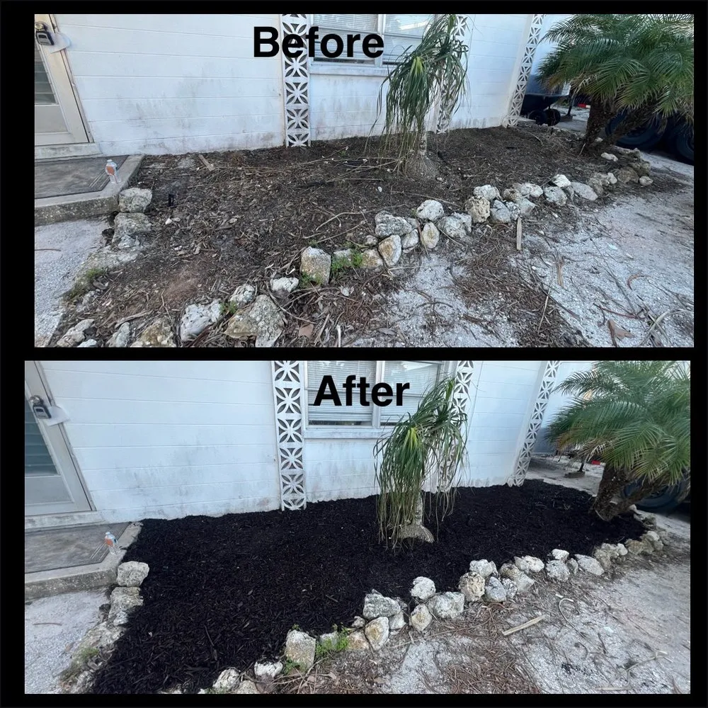 Reliable yard maintenance experts serving Anna Maria, FL - S&S Hauling