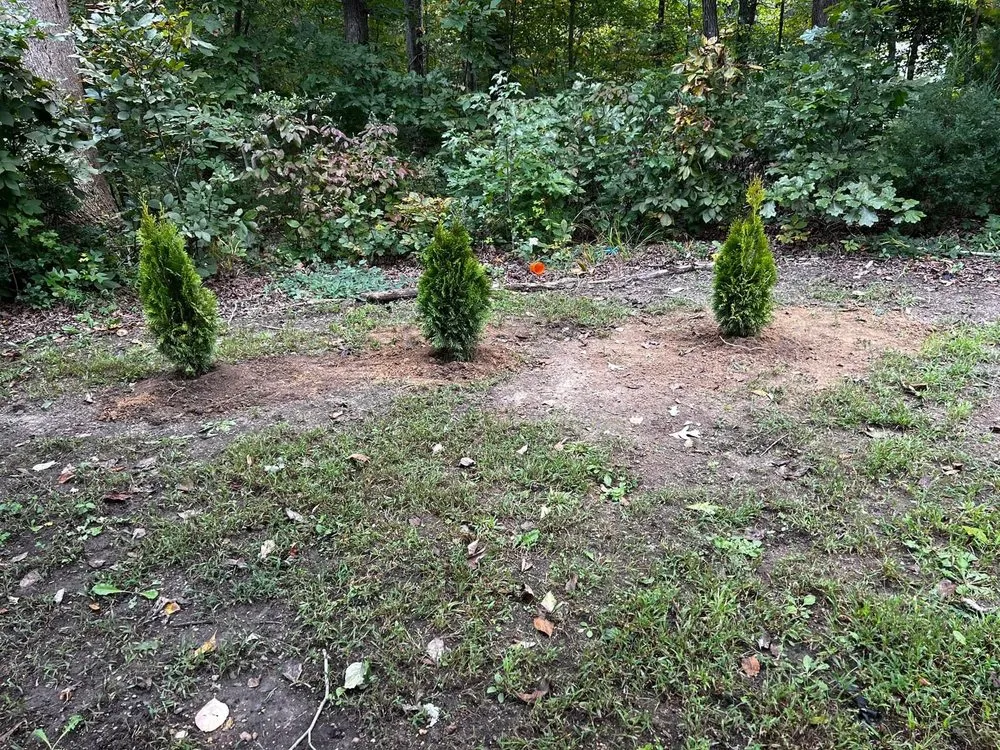 Local lawn mowing service in 23233, VA - S&S Landscape