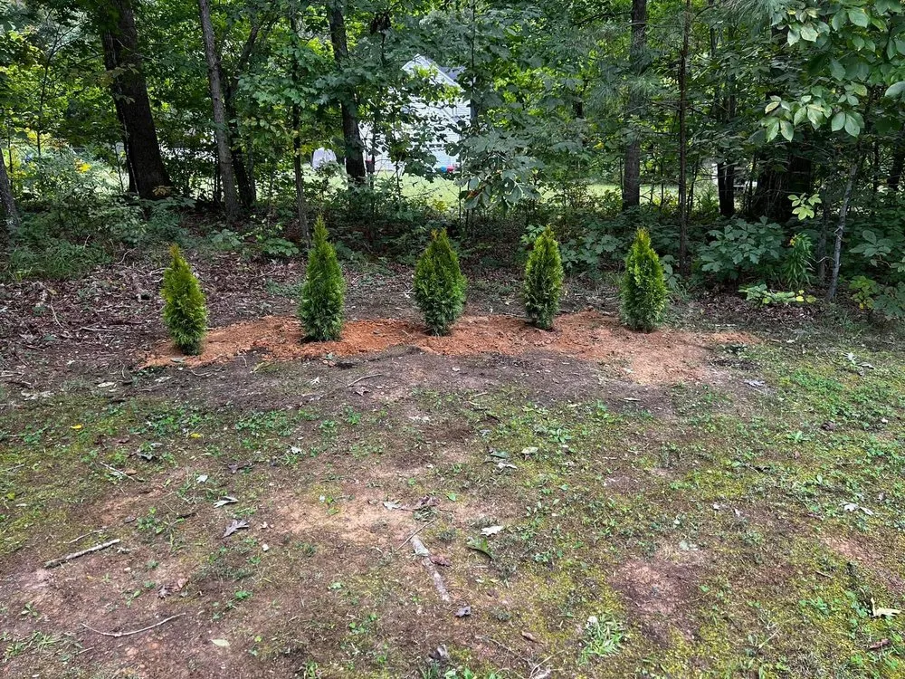 Affordable outdoor landscaping in 23233, VA by S&S Landscape