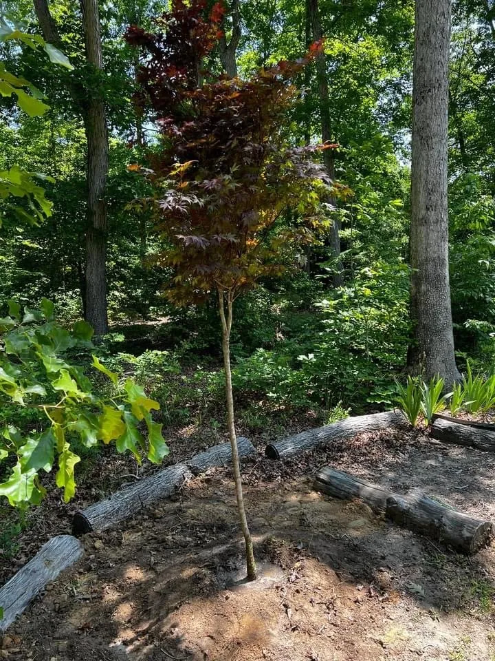 Reliable landscape design experts serving 23233, VA - S&S Landscape