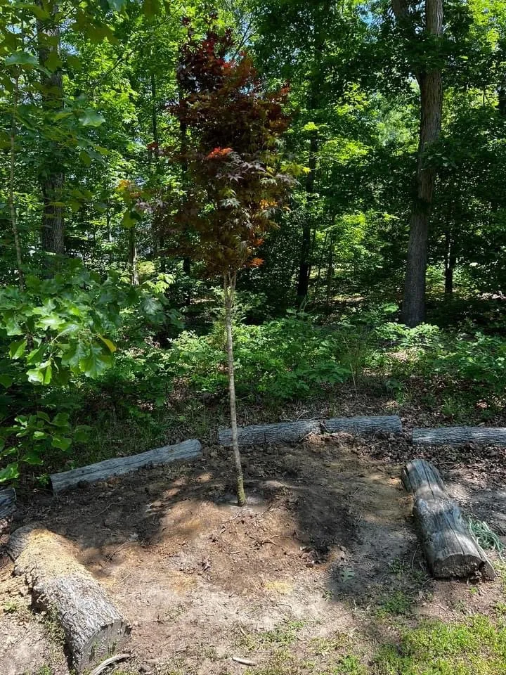 Affordable yard maintenance experts serving 23233, VA - S&S Landscape