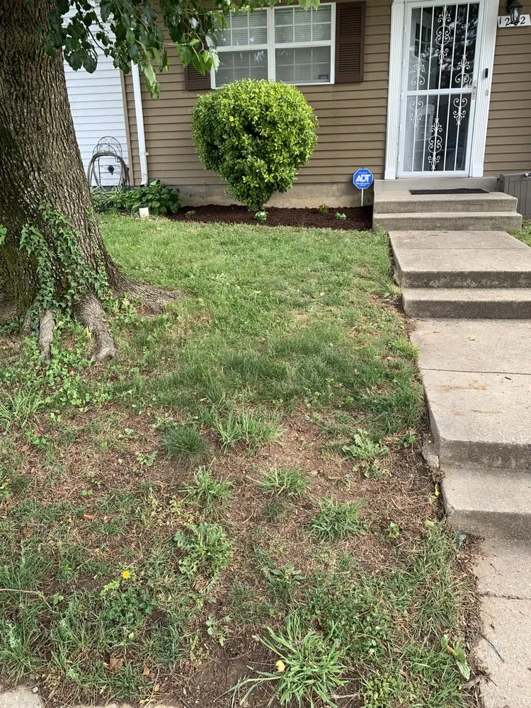 Expert landscape installation experts serving Baltimore, MD - S&S Landscape