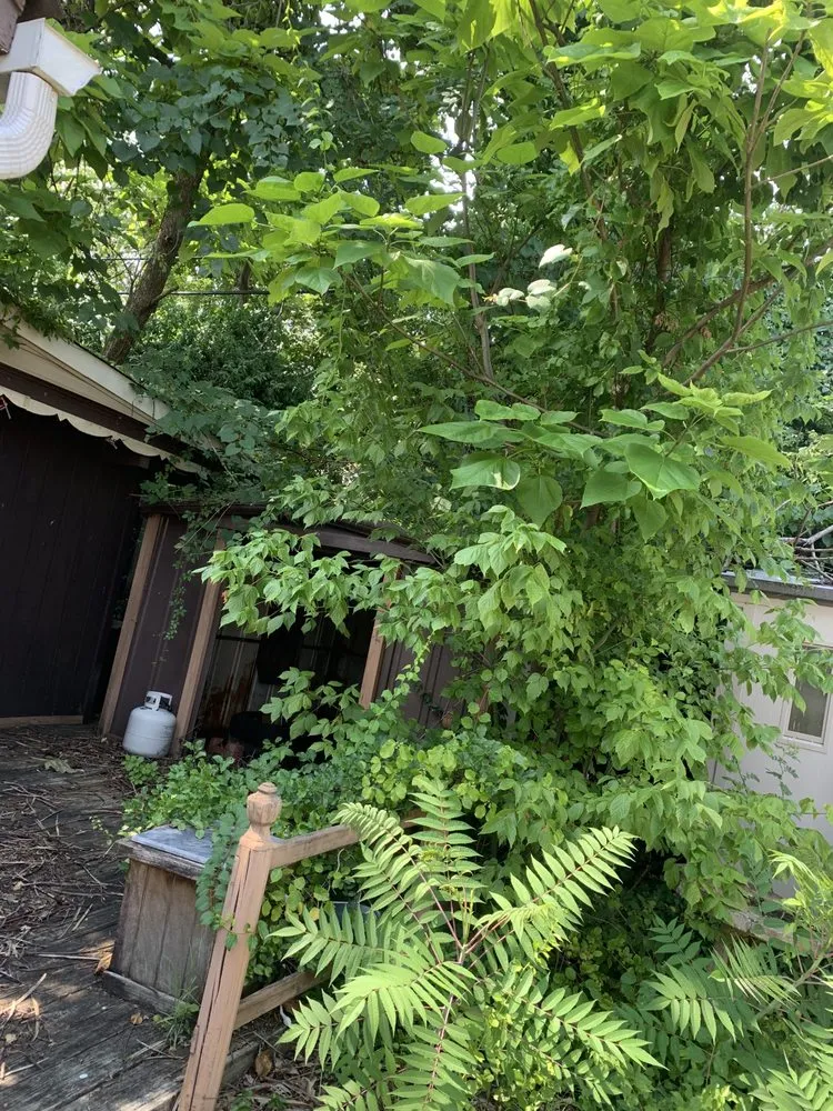 Reliable landscape design in Baltimore, MD - S&S Landscape