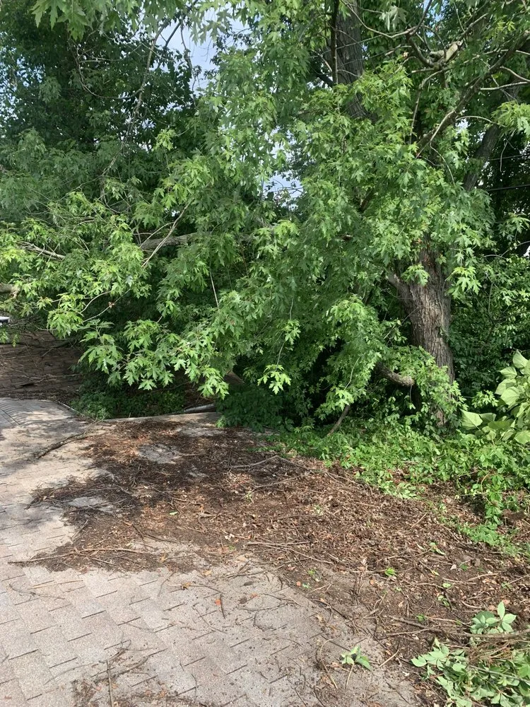 Local yard cleanup service with custom design across Baltimore, MD - S&S Landscape