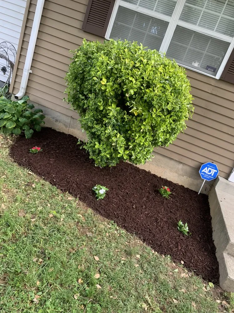 Trusted landscaping services in Baltimore, MD by S&S Landscape