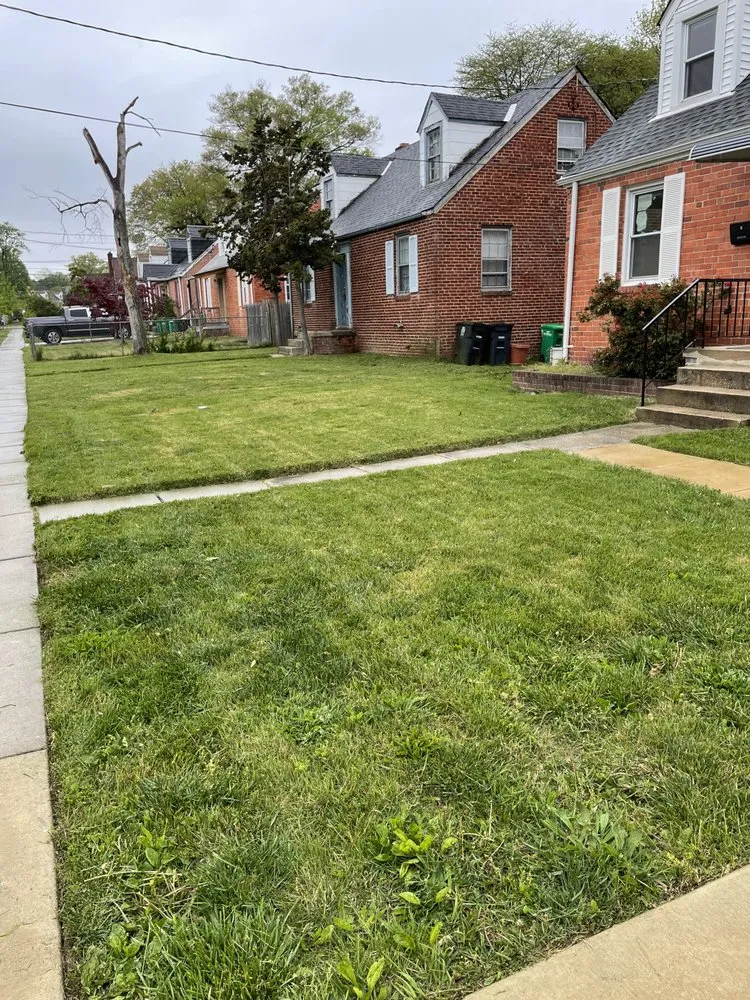 Affordable yard cleanup service in Baltimore, MD - S&S Landscape