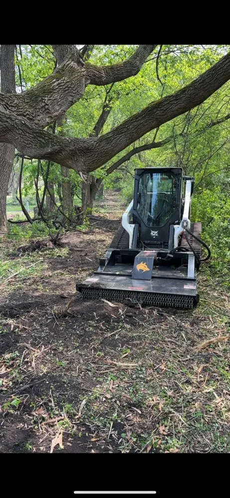 Trusted yard cleanup service experts serving Mankato, MN - SS Landscape