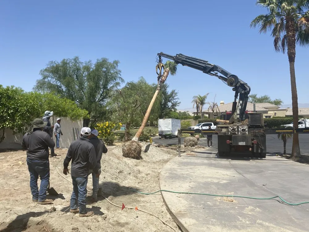 Custom yard cleanup service for outdoor upgrades across Thousand Palms, CA - S&S Landscape