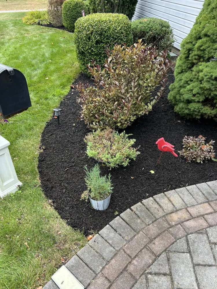 Expert yard cleanup service experts serving Mastic Beach, NY - S&S Landscaping & Design