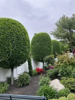 S&S Landscaping & Design