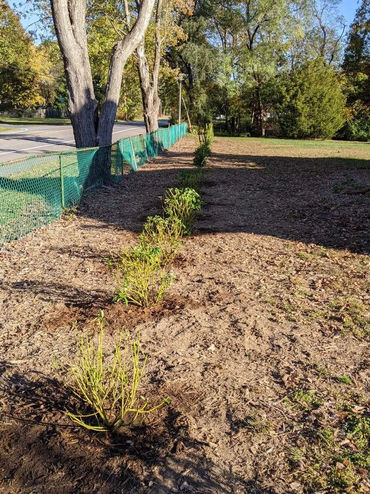 Local yard maintenance with custom design in Annapolis, MD by S&S Landscaping