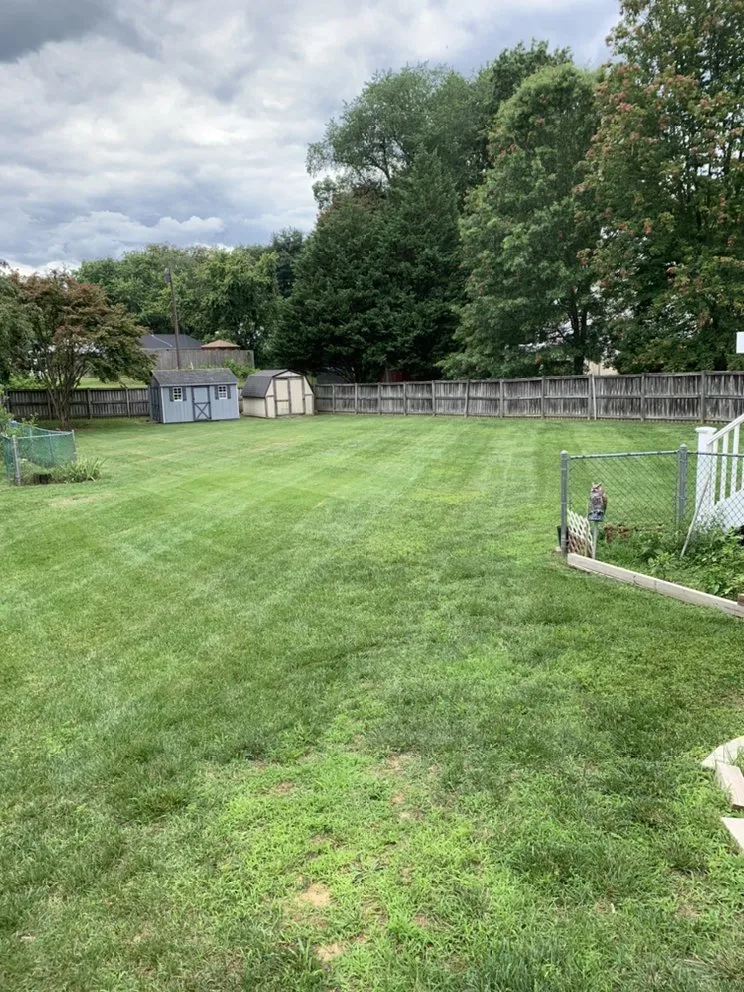 Reliable yard maintenance near you across Annapolis, MD - S&S Landscaping