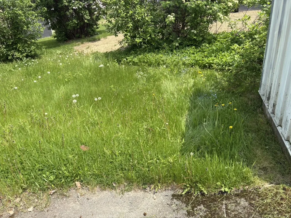 Local lawn care service in Caribou, ME by S&S Landscaping