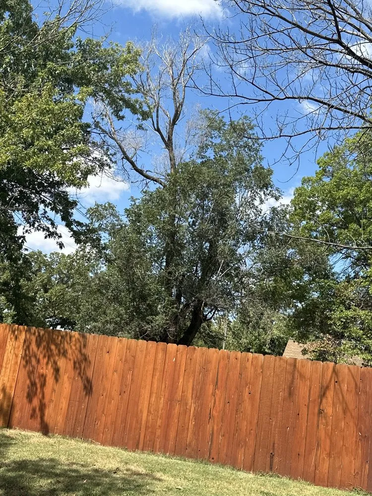 Top-rated landscape design in Cheney, KS by S&S Landscaping