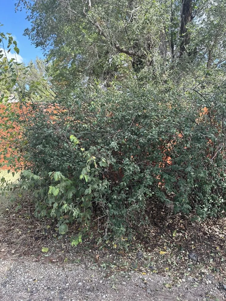 Expert outdoor landscaping for beautiful yards across Cheney, KS - S&S Landscaping