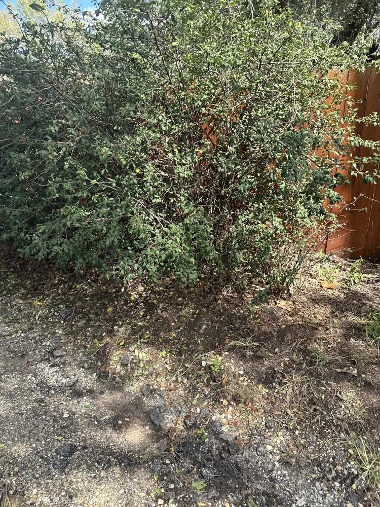 Local lawn care service in Cheney, KS - S&S Landscaping