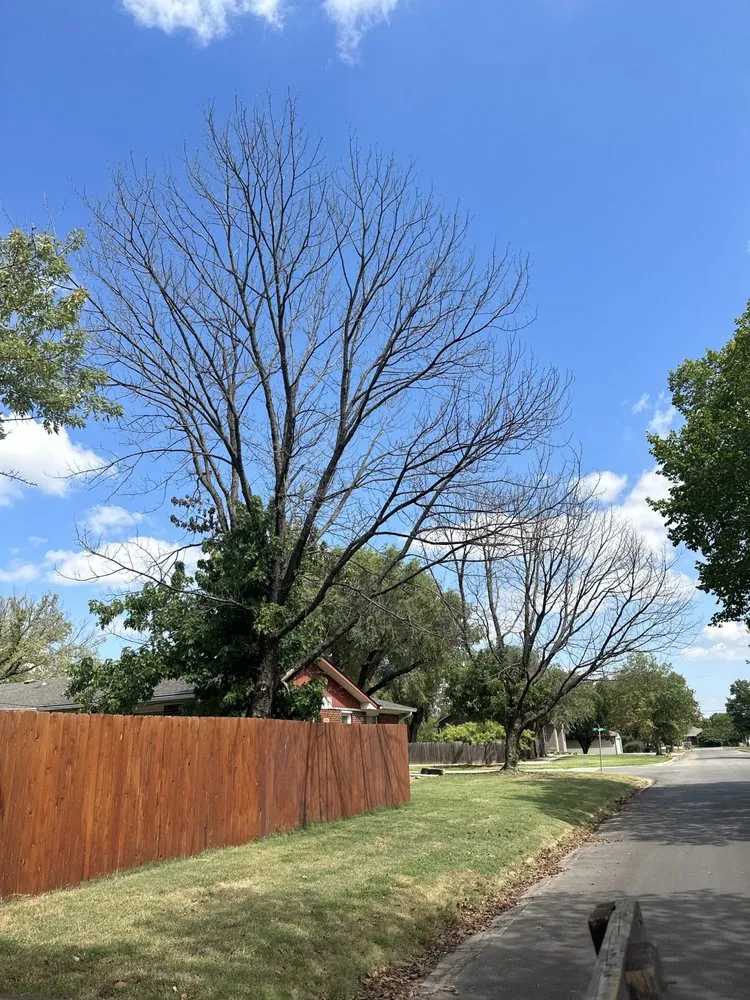 Custom landscape design in Cheney, KS by S&S Landscaping