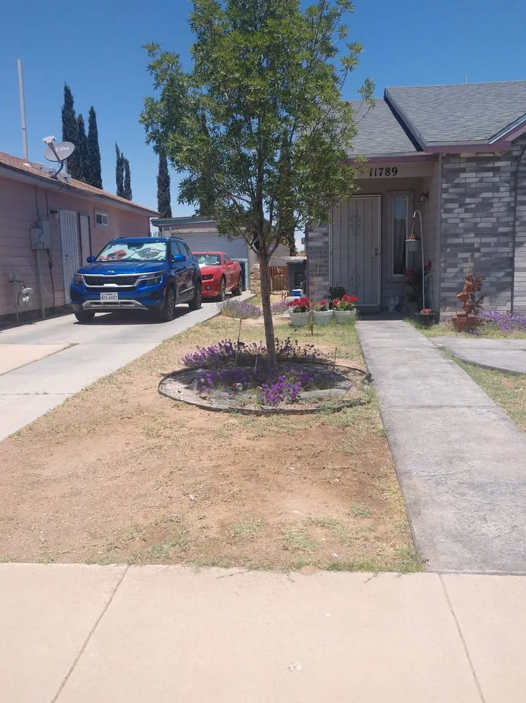 Trusted landscape installation experts serving El Paso, TX - S&S Landscaping