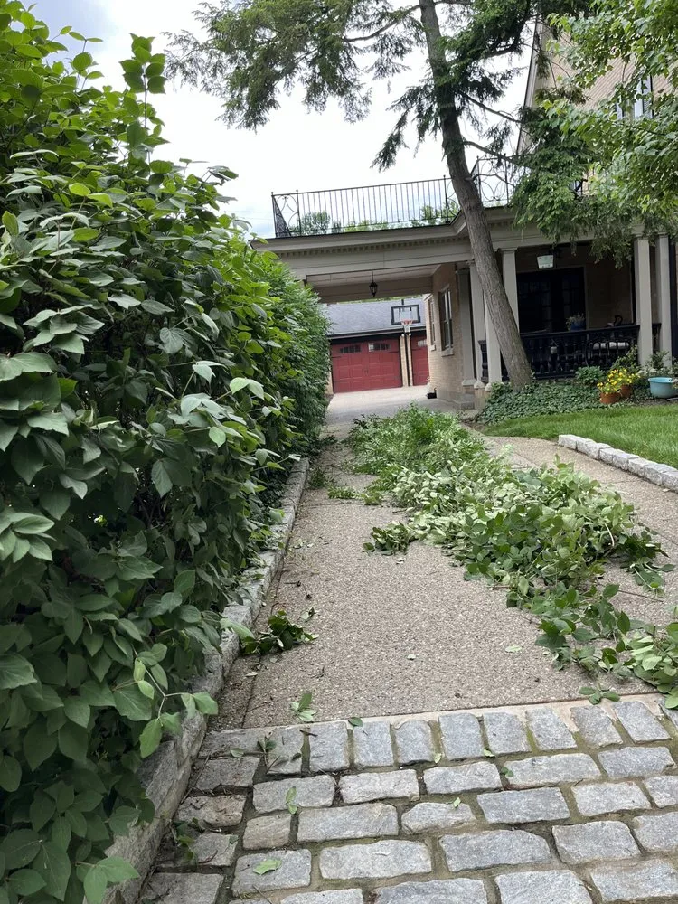 Expert outdoor landscaping experts serving Lyndon, KY - S&S Landscaping