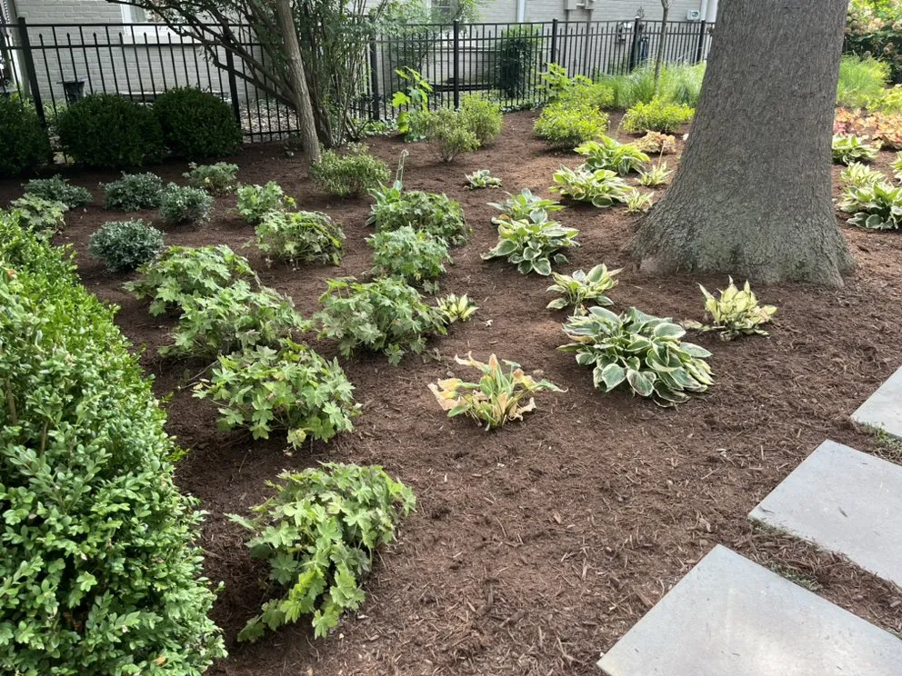 Reliable yard cleanup service for beautiful yards in Lyndon, KY by S&S Landscaping