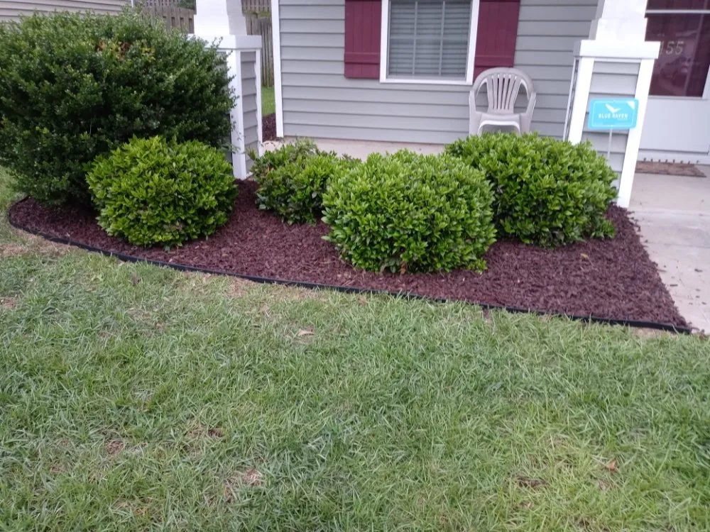 Trusted yard maintenance in Orangeburg, SC by S&S Landscaping