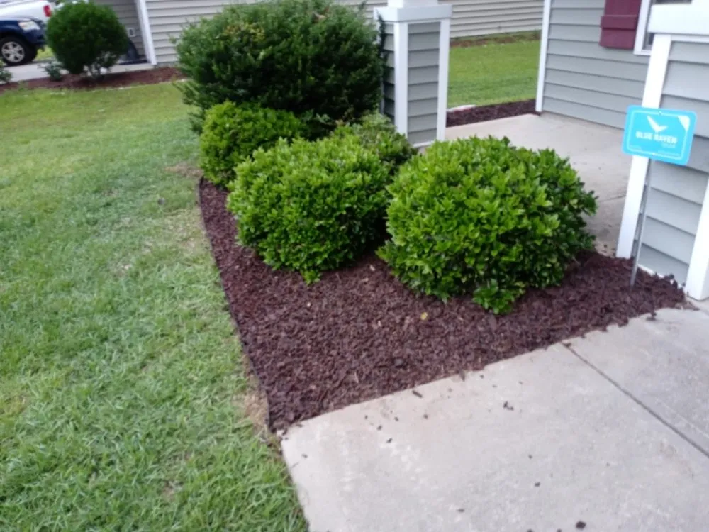 Trusted residential landscaping for residential properties across Orangeburg, SC - S&S Landscaping