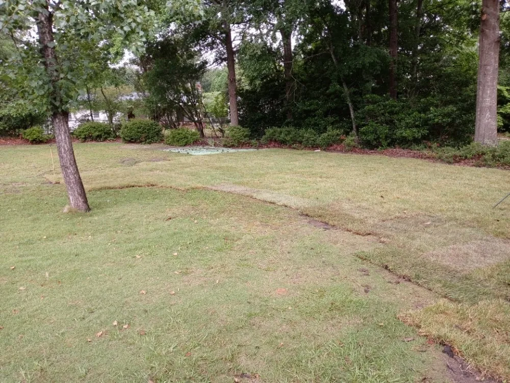 Top-rated lawn care service in Orangeburg, SC by S&S Landscaping