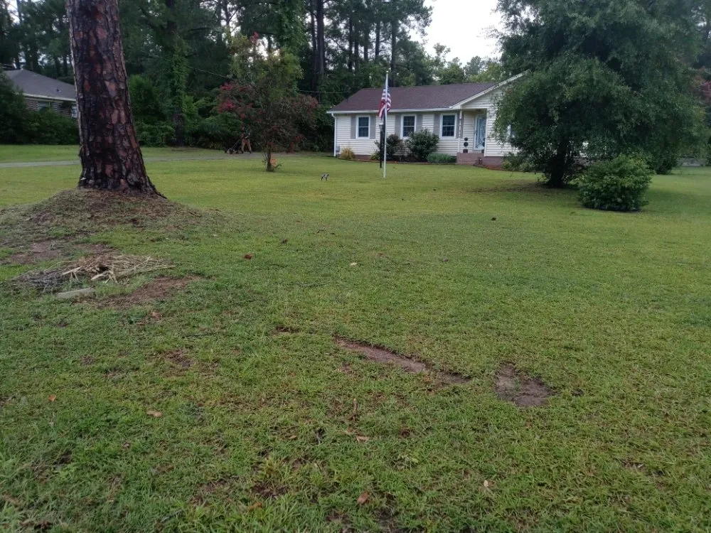 Reliable landscape design in Orangeburg, SC - S&S Landscaping