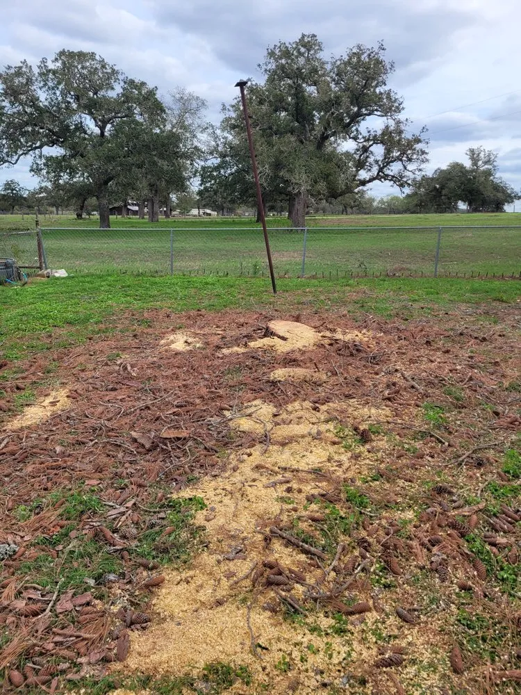 Custom lawn mowing service for homes in Gonzales, TX by S&S Landscaping Plus