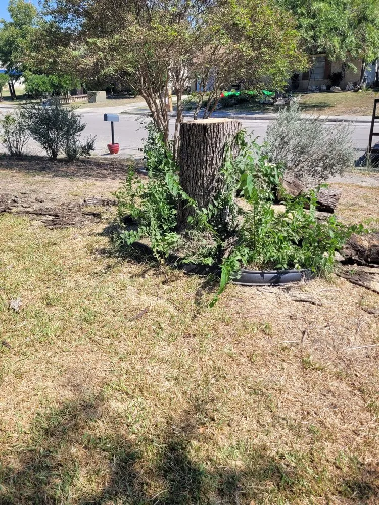 Custom lawn mowing service in Gonzales, TX - S&S Landscaping Plus