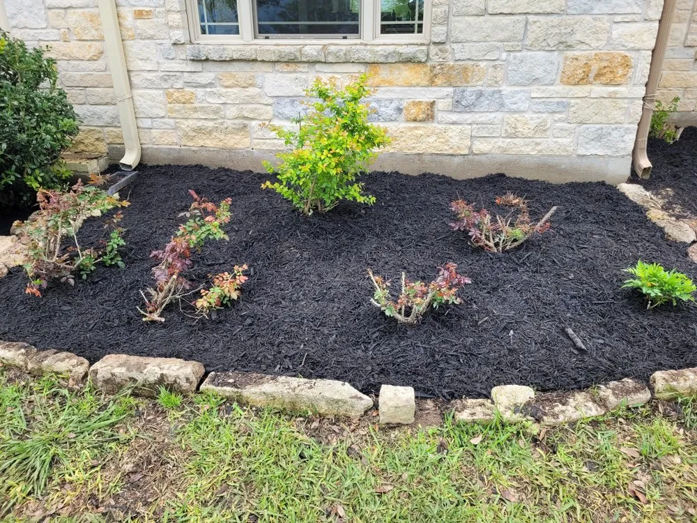 Affordable residential landscaping near you across Gonzales, TX - S&S Landscaping Plus