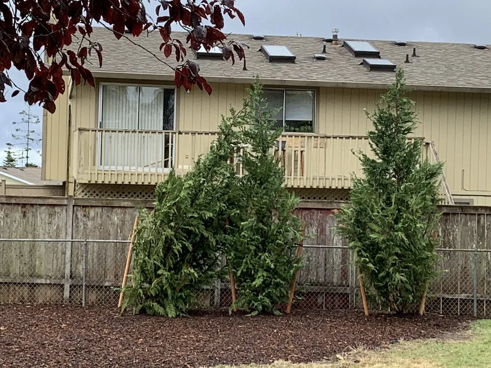 Custom yard maintenance experts serving Tacoma, WA - SS Landscaping Services,