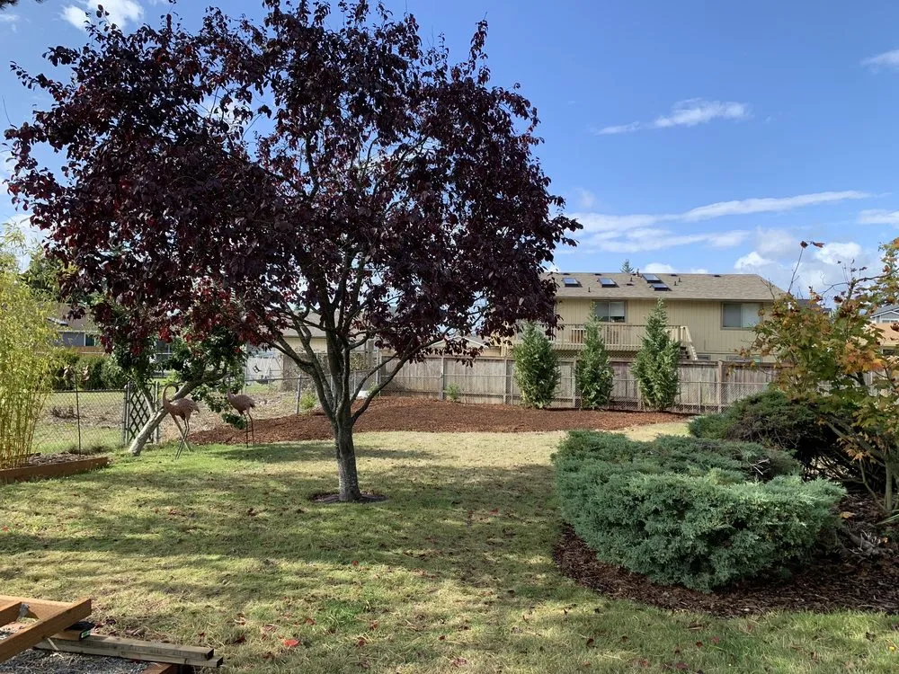 Custom residential landscaping for outdoor upgrades across Tacoma, WA - SS Landscaping Services,