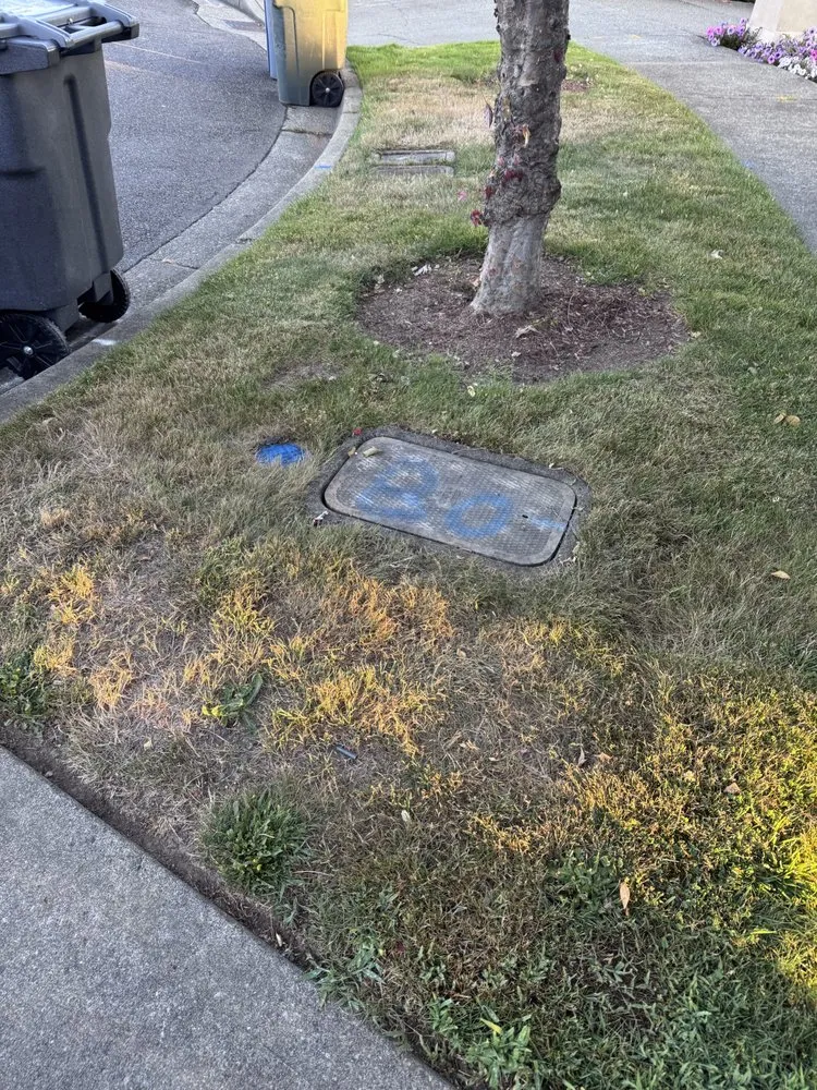 Trusted lawn care service for year-round maintenance across Tacoma, WA - SS Landscaping Services,