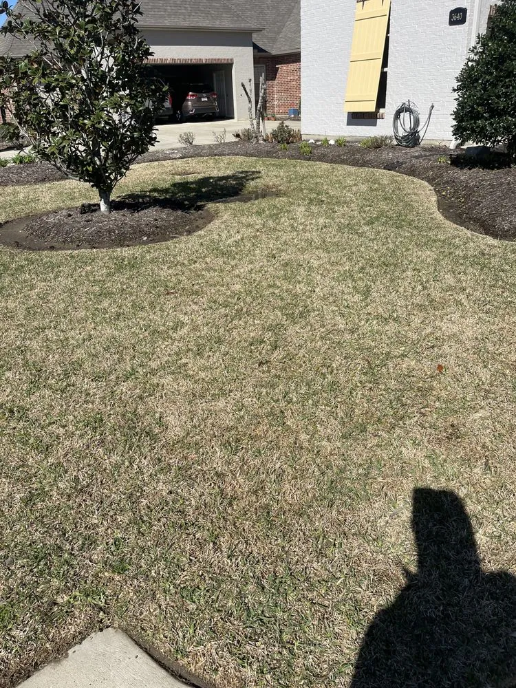 Affordable outdoor landscaping in Alexandria, LA - S&S Lawn and Irrigation