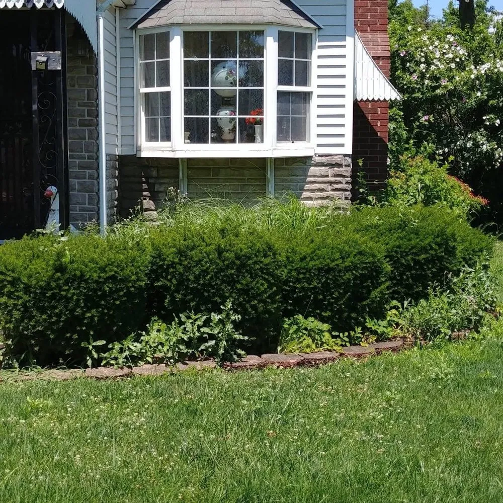 Expert yard maintenance with custom design in Dayton, OH by S&S Lawn Care & Services
