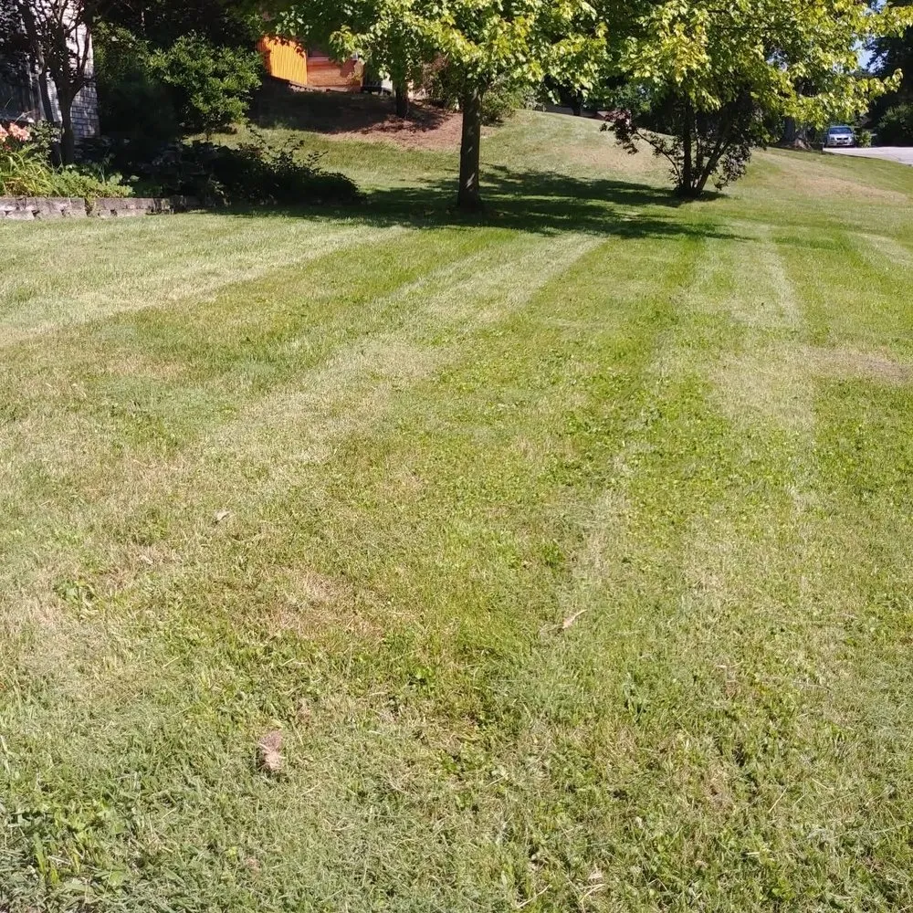 Top-rated landscape installation for residential properties across Dayton, OH - S&S Lawn Care & Services