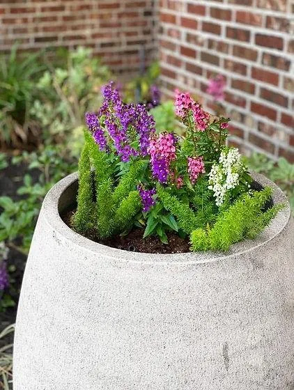 Trusted lawn care service experts serving Beaumont, TX - S&S Lawn Care