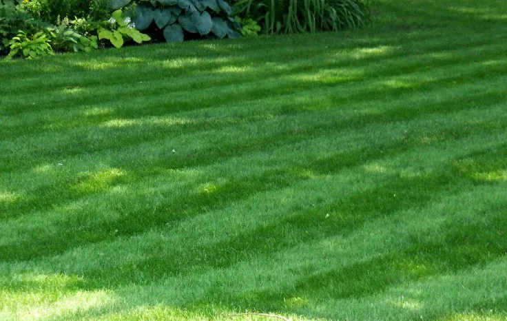 Local landscaping services near you in Eclectic, AL by SS Lawn Care