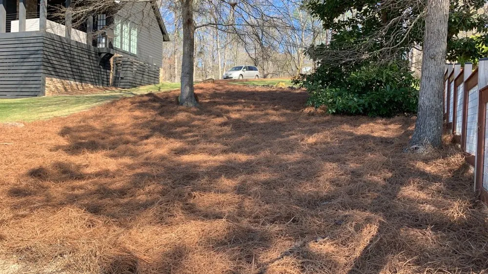 Trusted yard cleanup service for residential properties in Eclectic, AL by SS Lawn Care