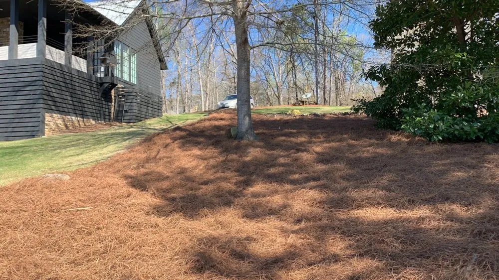 Local outdoor landscaping experts serving Eclectic, AL - SS Lawn Care
