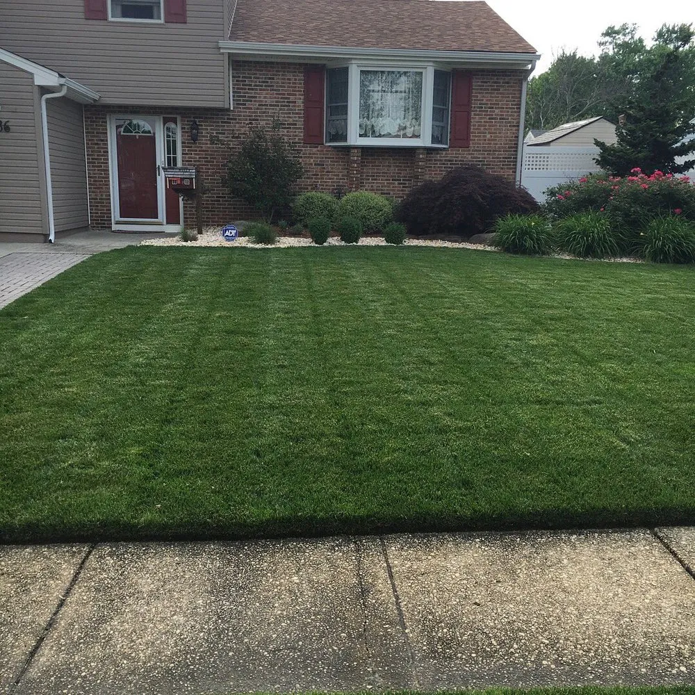 Custom yard cleanup service in Liberty Township, OH by SS Lawn Care