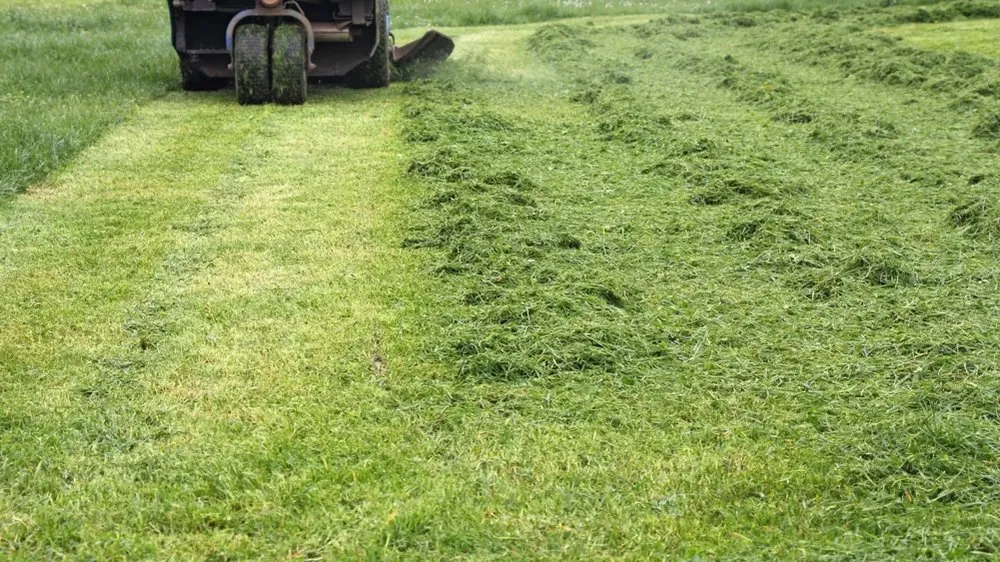 Affordable yard cleanup service experts serving Liberty Township, OH - SS Lawn Care