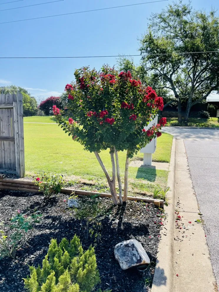 Reliable garden landscaping experts serving Longview, TX - SS Lawn Care